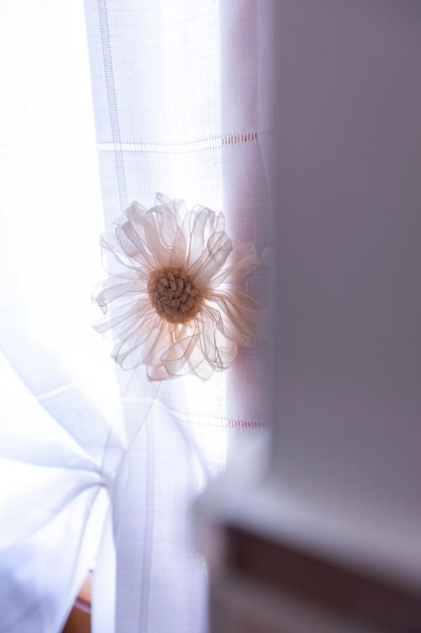 Sant'Anna Bed & Breakfast อาเจโรลา ภายนอก รูปภาพ